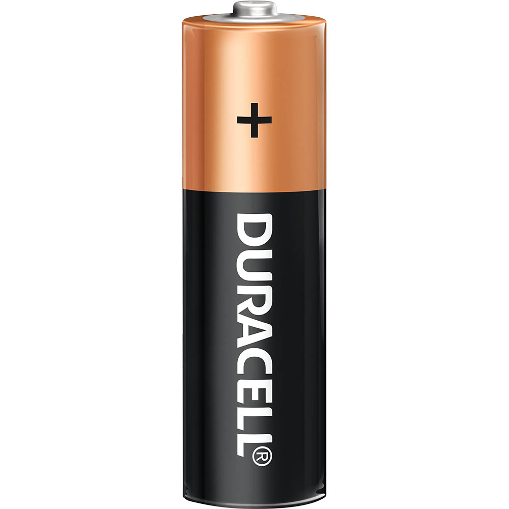 Alkaline Batteries